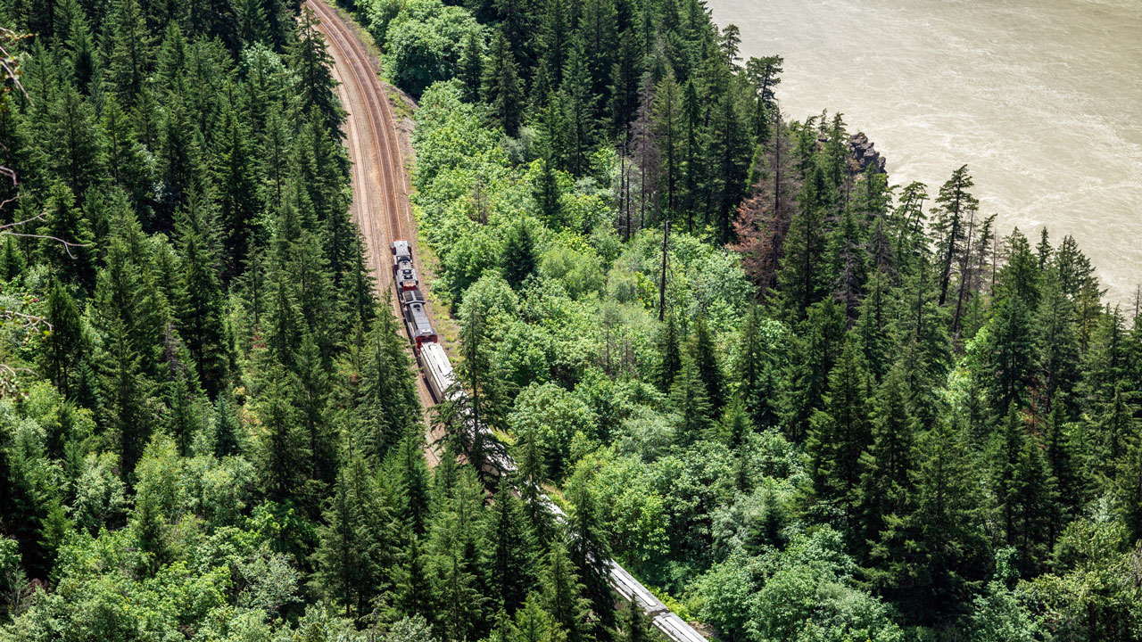 A train running along a curved track surrounded by dense green trees and a river in the background